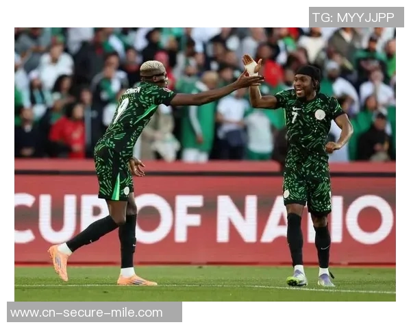 美国与尼日利亚的精彩对决分析与赛事回顾